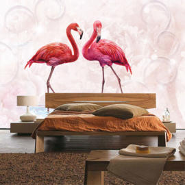 Fotobehang poster 3261 dieren vogels flamingo roze