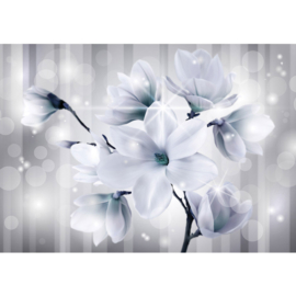 Fotobehsang poster 1285 bloemen magnolia parels