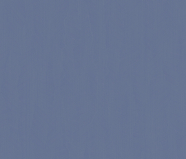 Z54546 Capri zilver grijs