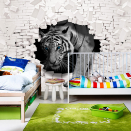 Fotobehang poster 3309 dieren tijger met blauwe ogen breekt door witte stenen muur