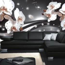 Fotobehang poster 0685 orchidee wit diamant grijs