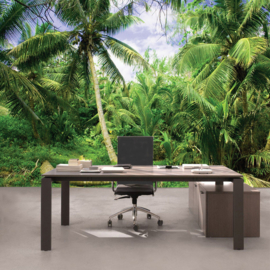 Fotobehang poster 4485 palm bomen bos tropisch regenwoud strand