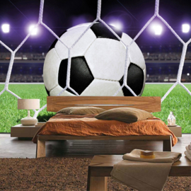 Fotobehang poster 0431 kinderkamer voetbal sport doel net stadion