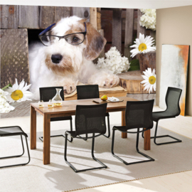 Fotobehang poster 3308 dieren hond bril boek