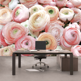 Fotobehang poster 0677 rozen roze bloemen
