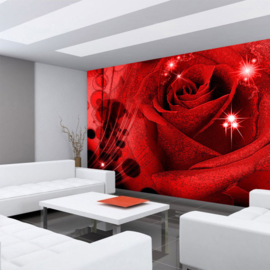 Fotobehang poster 0987 bloemen rozen roos rood