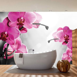 Fotobehang poster 1802 bloemen orchidee paars roze