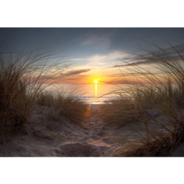 Fotobehang poster 0074 natuur strand noorzee duinen zonsondergang