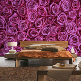 Fotobehang poster 0183 bloemen rozen roos lila donker roze
