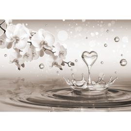 Fotobehang poster 1286 bloemen orchidee water druppels hart