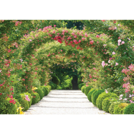 Fotobehang poster 1746 planten groen weg natuur bloemen