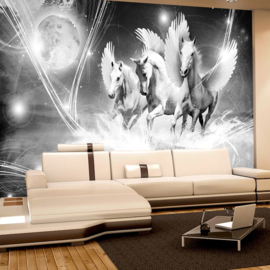 Fotobehang poster 1079 dieren pegasus paarden met vleugels grijs