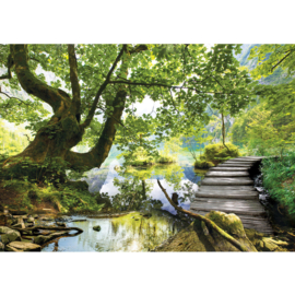 Fotobehang poster 4444 bomen meer water steiger planken loop brug