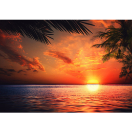 Fotobehang poster 0117 zonsondergang strand palmen