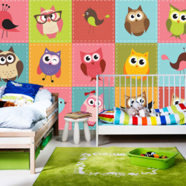 Fotobehang poster 2090 kinderkamer uil vogels patchwork