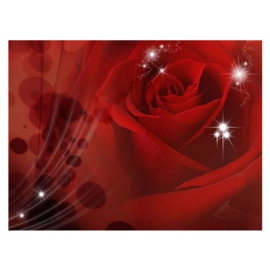Fotobehang poster 1105 bloemen rozen roos rood