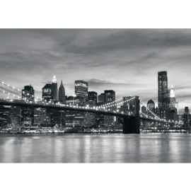Fotobehang poster 0269 skyline new york brug
