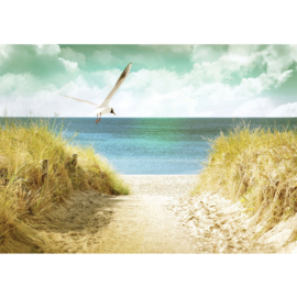Fotobehang poster 4585 duinen strand zee dieren meeuw vogel