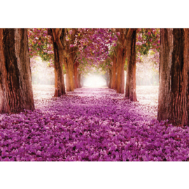 Fotobehang poster 0721 bomen roze bloemen