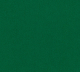 AS 383648 uni donker groen