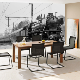Fotobehang poster 4507 stoomtrein lokomotief wagons zwart