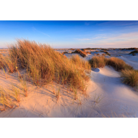 Fotobehang poster 0246 duinen helmgras strand blauwe lucht