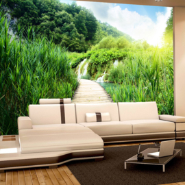 Fotobehang poster 0093 natuur  houten weg houten planken steiger riet bergen
