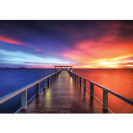 Fotobehang 992 zee zon 368 x 254