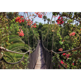 Fotobehang poster 0770 planten bomen bloemen groen brug