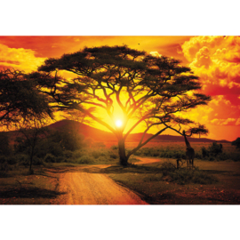 Fotobehang poster 0009 africa zonsondergang giraffe giraf