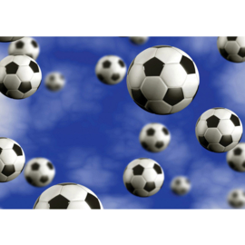 Fotobehang poster 0529 kinderkamer sport voetbal