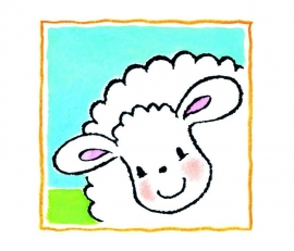 NW Sweet collection baby 5039b schaap