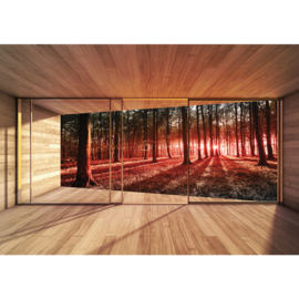 Fotobehang poster 3138 raam bomen bos zon kamer