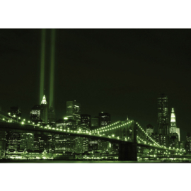 Fotobehang 0692 USA New York tower light groen brug