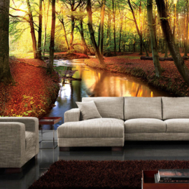 Fotobehang poster 1355 bomen bos water beek
