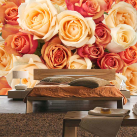 Fotobehang poster 0191 bloemen rozen roos oranje roze
