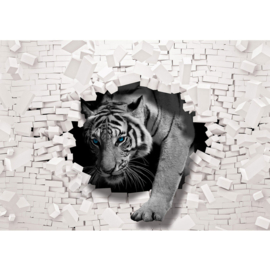 Fotobehang poster 3309 dieren tijger met blauwe ogen breekt door witte stenen muur