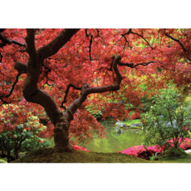 Fotobehang poster 0828 boom planten roze groen bladeren
