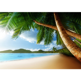 Fotobehang poster 0004 natuur strand palmboom bomen