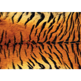 Fotobehang poster 3006 dieren huid vel tijgervel vacht