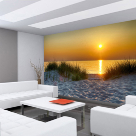 Fotobehang poster 4577  strand duinen zee zand