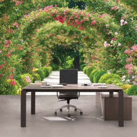 Fotobehang poster 1746 planten groen weg natuur bloemen