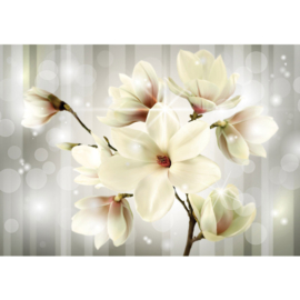 Fotobehang poster 1284 bloemen magnolia wit