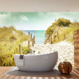 Fotobehang poster 4584 duinen strand
