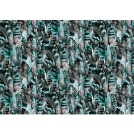 Fotobehang poster 3546 veren veer blauw groen turqoise