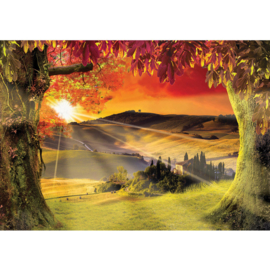 Fotobehang poster 0794 bomen zonsondergang herfst heuvels