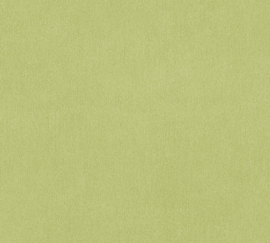 AS 383747 groen