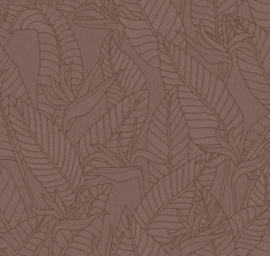 60743 Strelitzia blad bruin hickory