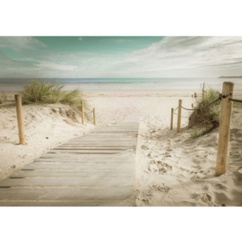 Fotobehang poster 4587 strand duinen