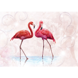 Fotobehang poster 3261 dieren vogels flamingo roze